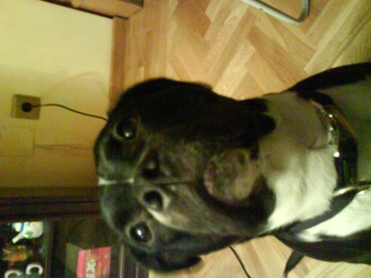 esta endiente de que le caiga alguna golosina, menuda es.